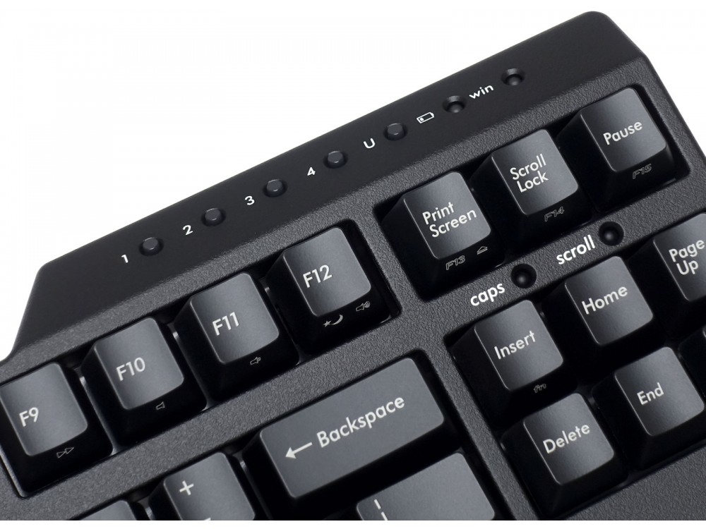 Filco majestouch convertible 3 tenkeyless US