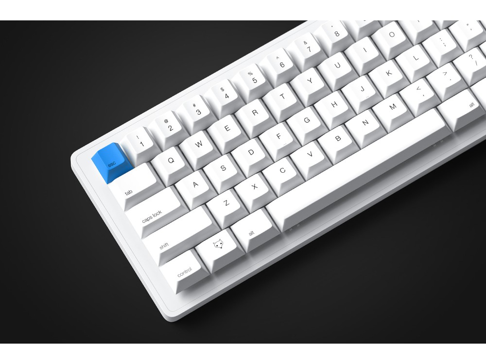 Whitefox eclipse Bluetooth RGB backlit mac PC 65 percent keyboard US